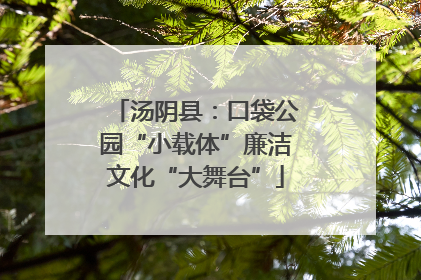 汤阴县：口袋公园“小载体”廉洁文化“大舞台”