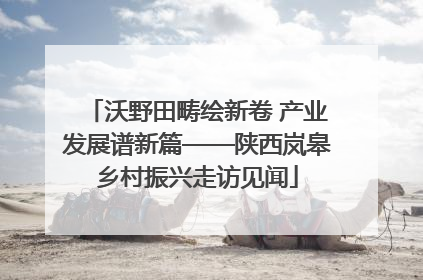 沃野田畴绘新卷 产业发展谱新篇——陕西岚皋乡村振兴走访见闻