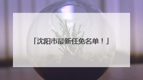 沈阳市最新任免名单！