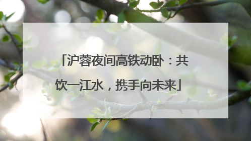 沪蓉夜间高铁动卧：共饮一江水，携手向未来