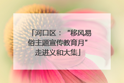 河口区：“移风易俗主题宣传教育月”走进义和大集