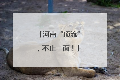 河南“顶流”，不止一面！
