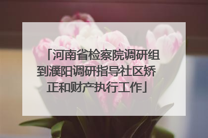 河南省检察院调研组到濮阳调研指导社区矫正和财产执行工作