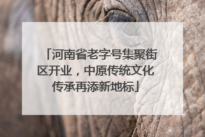 河南省老字号集聚街区开业，中原传统文化传承再添新地标