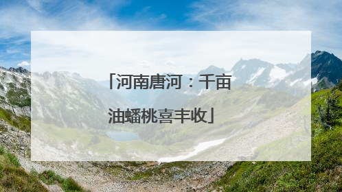 河南唐河：千亩油蟠桃喜丰收