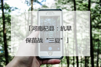 河南杞县：抗旱保苗战“三夏”