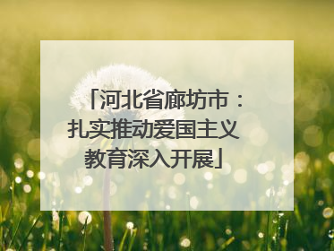 河北省廊坊市：扎实推动爱国主义教育深入开展