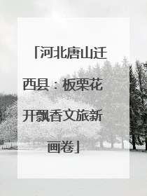 河北唐山迁西县：板栗花开飘香文旅新画卷