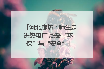 河北廊坊：师生走进热电厂 感受“环保”与“安全”