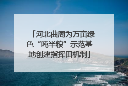 河北曲周为万亩绿色“吨半粮”示范基地创建指挥田机制