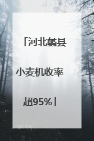 河北蠡县小麦机收率超95%