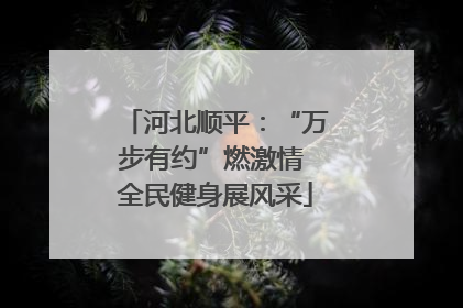 河北顺平：“万步有约”燃激情 全民健身展风采