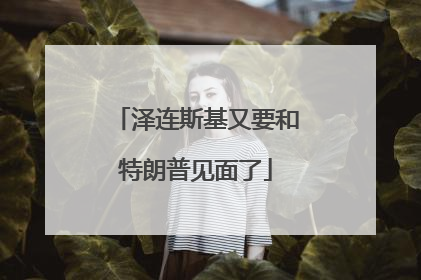 泽连斯基又要和特朗普见面了