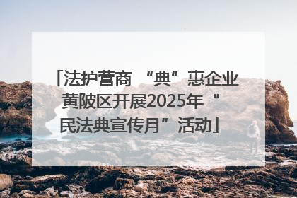 法护营商 “典”惠企业 黄陂区开展2025年“民法典宣传月”活动
