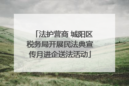 法护营商 城阳区税务局开展民法典宣传月进企送法活动