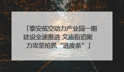 泰安低空动力产业园一期建设全速推进 文庙街道聚力攻坚抢抓“进度条”