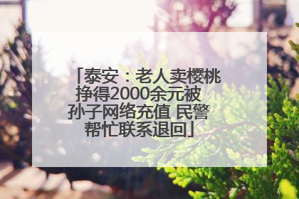 泰安：老人卖樱桃挣得2000余元被孙子网络充值 民警帮忙联系退回