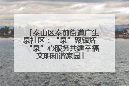 泰山区泰前街道广生泉社区：“泉”聚银辉“泉”心服务共建幸福文明和谐家园