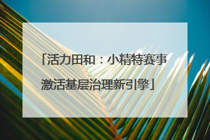 活力田和：小精特赛事激活基层治理新引擎
