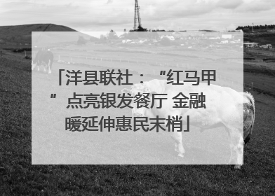 洋县联社：“红马甲”点亮银发餐厅 金融暖延伸惠民末梢