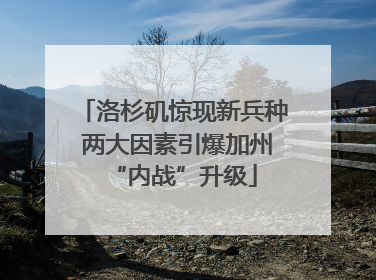洛杉矶惊现新兵种 两大因素引爆加州“内战”升级