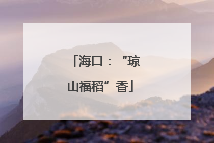 海口：“琼山福稻”香