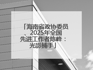 海南省政协委员、2025年全国先进工作者陈峰：光影捕手
