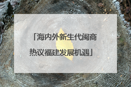 海内外新生代闽商热议福建发展机遇