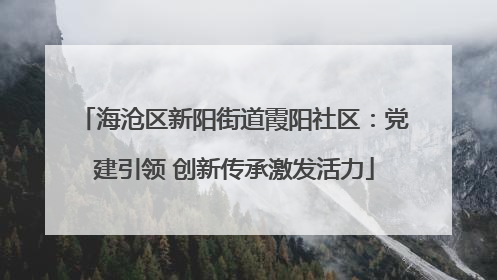 海沧区新阳街道霞阳社区：党建引领 创新传承激发活力
