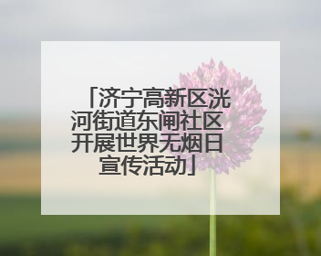 济宁高新区洸河街道东闸社区开展世界无烟日宣传活动