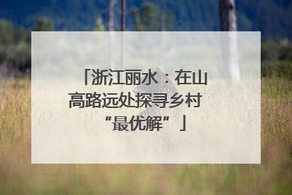 浙江丽水：在山高路远处探寻乡村“最优解”