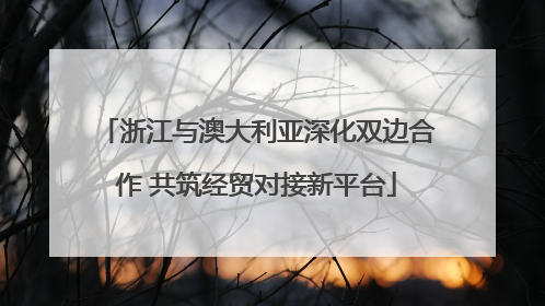 浙江与澳大利亚深化双边合作 共筑经贸对接新平台