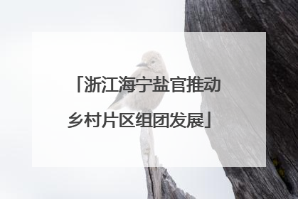 浙江海宁盐官推动乡村片区组团发展