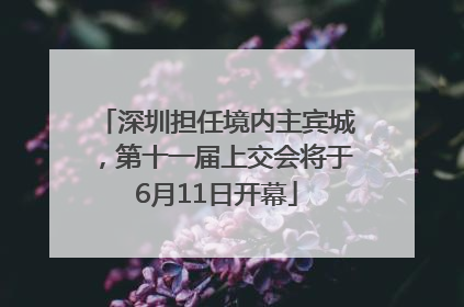 深圳担任境内主宾城，第十一届上交会将于6月11日开幕