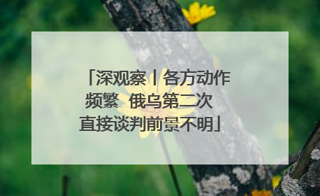 深观察丨各方动作频繁  俄乌第二次直接谈判前景不明