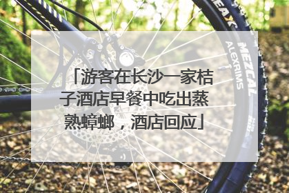 游客在长沙一家桔子酒店早餐中吃出蒸熟蟑螂，酒店回应