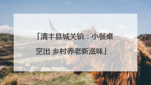 清丰县城关镇：小餐桌烹出 乡村养老新滋味