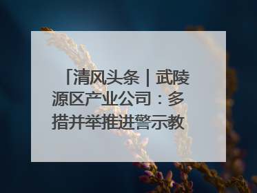 清风头条｜武陵源区产业公司：多措并举推进警示教育走深走实