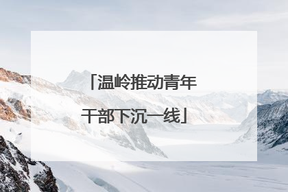 温岭推动青年干部下沉一线