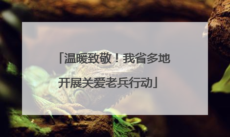 温暖致敬！我省多地开展关爱老兵行动