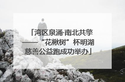 湾区泉涌·南北共擎——“花楸树”杯明湖慈善公益跑成功举办