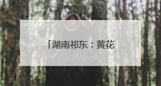 湖南祁东：黄花菜产业助农增收