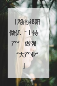 湖南祁阳做优“土特产” 做强“大产业”