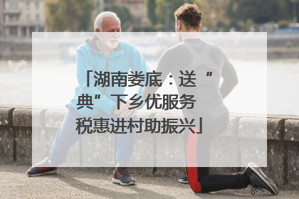 湖南娄底：送“典”下乡优服务 税惠进村助振兴