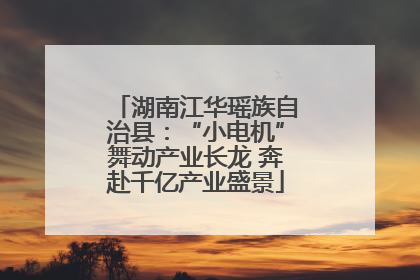 湖南江华瑶族自治县：“小电机”舞动产业长龙 奔赴千亿产业盛景