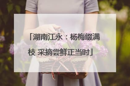 湖南江永：杨梅缀满枝 采摘尝鲜正当时