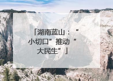 湖南蓝山：“小切口”推动“大民生”