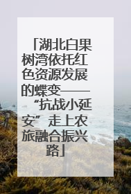 湖北白果树湾依托红色资源发展的蝶变——“抗战小延安”走上农旅融合振兴路