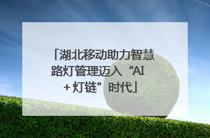湖北移动助力智慧路灯管理迈入“AI＋灯链”时代