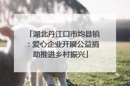 湖北丹江口市均县镇：爱心企业开展公益捐助推进乡村振兴